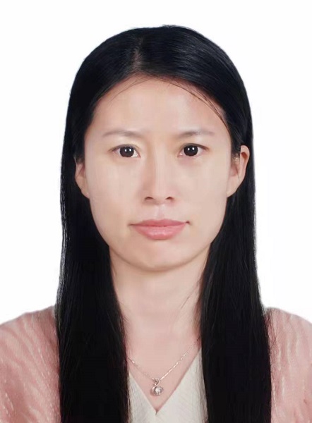 宋丽影